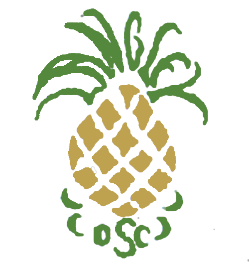 Langley OSC Logo